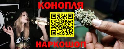 индика Рузаевка