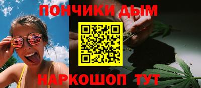 индика Рузаевка
