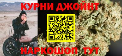 индика Рузаевка
