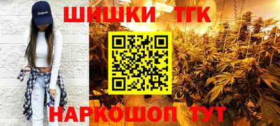 индика Рузаевка