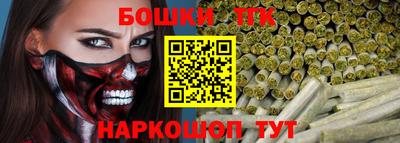 индика Рузаевка