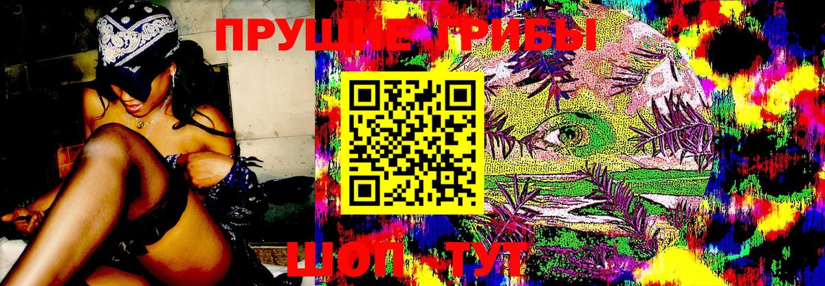 Псилоцибиновые грибы MAGIC MUSHROOMS Октябрьский